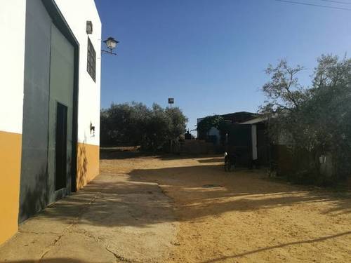 imagen 1 de Venta de finca con casa e instalaciones hípicas en Carmona (Sevilla)