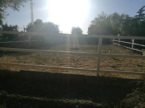 imagen 4 de Venta de finca con casa e instalaciones hípicas en Carmona (Sevilla)