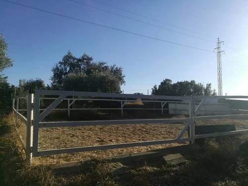 imagen 5 de Venta de finca con casa e instalaciones hípicas en Carmona (Sevilla)