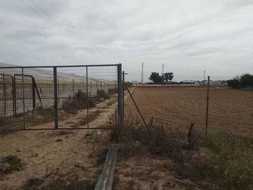 imagen 1 de Venta de finca vallada en Los Palacios (Sevilla)