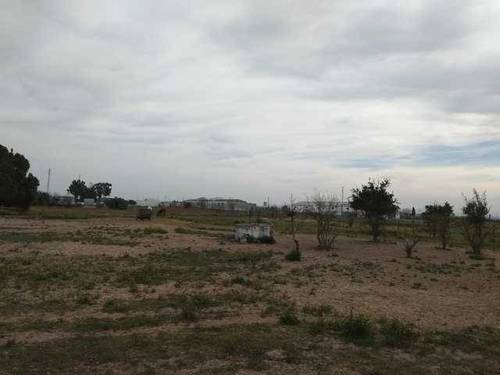 imagen 1 de Venta de finca vallada en Los Palacios (Sevilla)