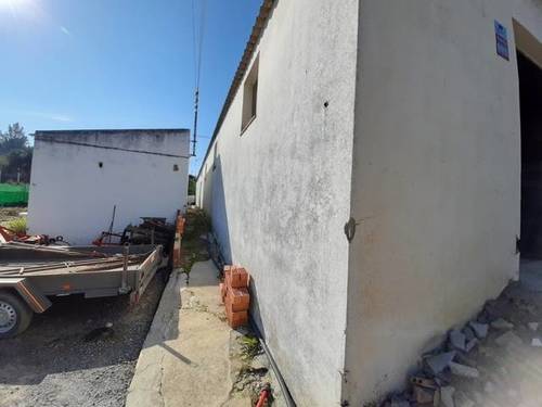 imagen 2 de Venta de finca con nave y olivar en Sevilla