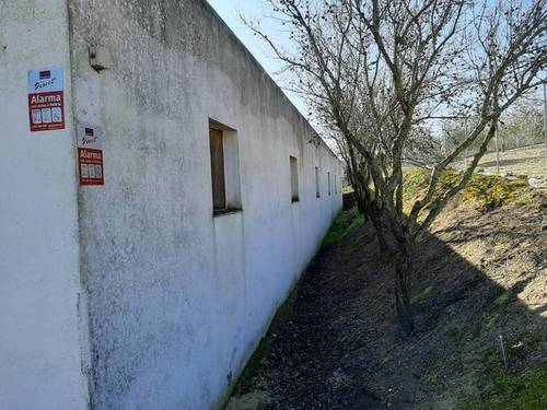 imagen 3 de Venta de finca con nave y olivar en Sevilla