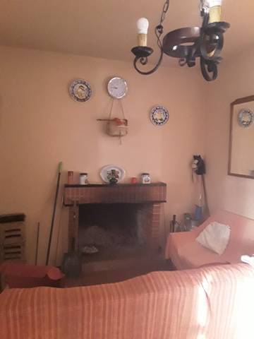 imagen 1 de Venta de finca de Naranjos y Olivar con casa en Lora del Río (Sevilla)