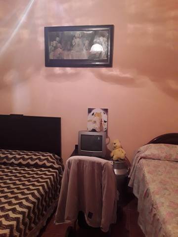 imagen 3 de Venta de finca de Naranjos y Olivar con casa en Lora del Río (Sevilla)