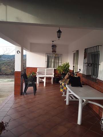 imagen 7 de Venta de finca de Naranjos y Olivar con casa en Lora del Río (Sevilla)