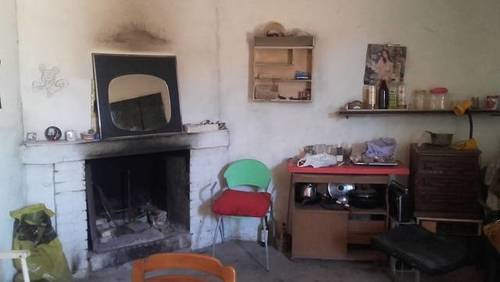 imagen 2 de Venta de olivar con casa en Bollullos  de la Mitación (Sevilla)