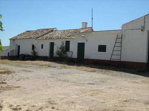 imagen 1 de Venta de fincas con casa, nave y estupendas vistas en Montellano ( Sevilla)