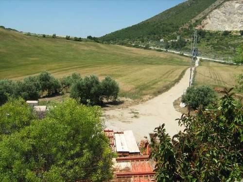 imagen 5 de Venta de fincas con casa, nave y estupendas vistas en Montellano ( Sevilla)