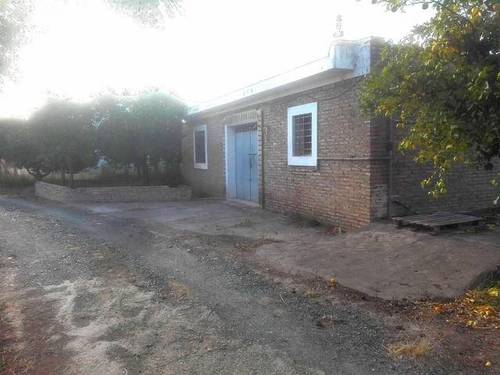 imagen 1 de Venta de finca de naranjos con nave en La Algaba (Sevilla)