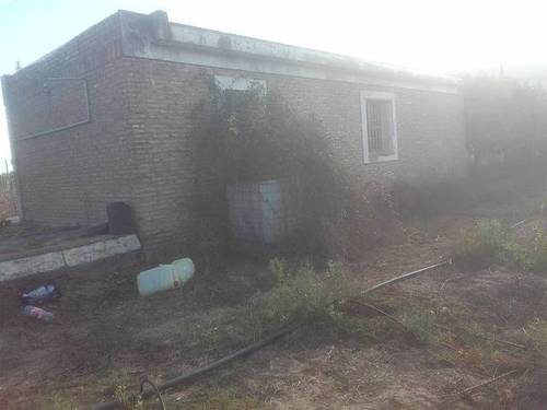 imagen 2 de Venta de finca de naranjos con nave en La Algaba (Sevilla)
