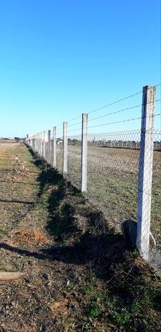 imagen 1 de Venta de terreno vallado en Coria del Río (Sevilla)