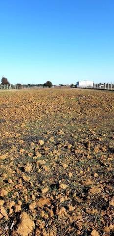 imagen 2 de Venta de terreno vallado en Coria del Río (Sevilla)