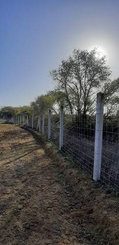 imagen 3 de Venta de terreno vallado en Coria del Río (Sevilla)