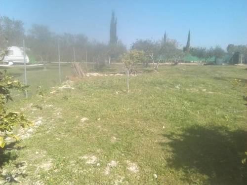 imagen 2 de Venta de terreno rústico en Los Palacios y Villafranca (Sevilla)