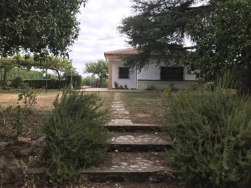imagen 1 de Venta de parcela con olivos y casa en Almensilla (Sevilla)