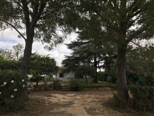 imagen 1 de Venta de parcela con olivos y casa en Almensilla (Sevilla)