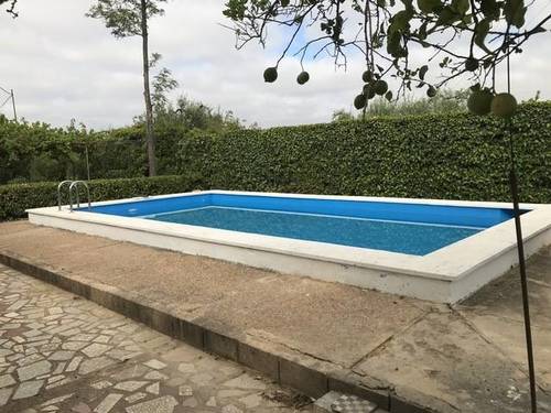 imagen 2 de Venta de parcela con olivos y casa en Almensilla (Sevilla)