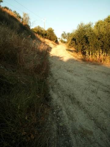 imagen 3 de Venta de finca rústica con buen acceso en Sanlucar La Mayor