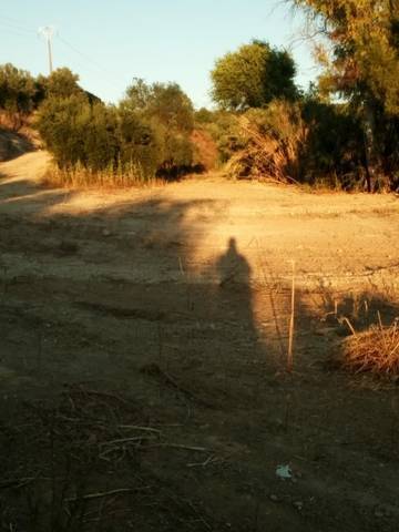 imagen 1 de Venta de finca rústica con buen acceso en Sanlucar La Mayor