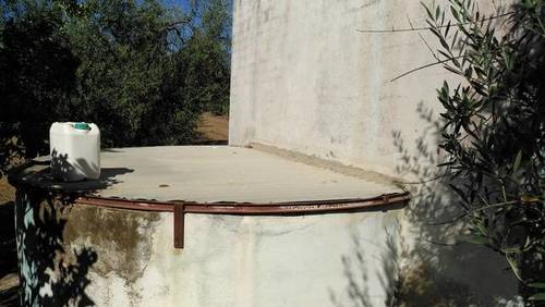 imagen 1 de Venta de finca con olivos en Pilas