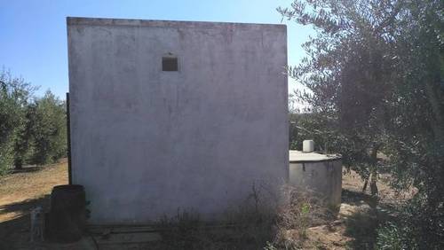 imagen 1 de Venta de finca con olivos en Pilas