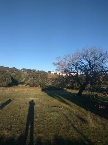 imagen 3 de Venta de bonita parcela en La Aulaga (Sevilla)