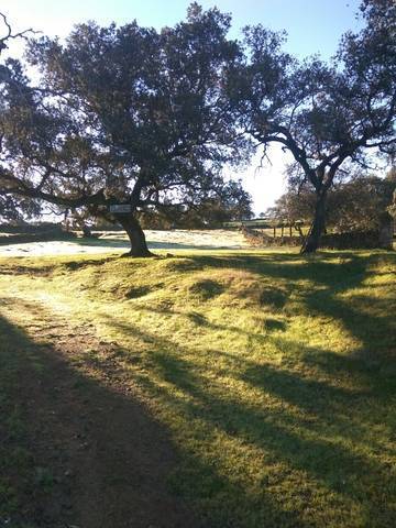 imagen 2 de Venta de bonita parcela en La Aulaga (Sevilla)