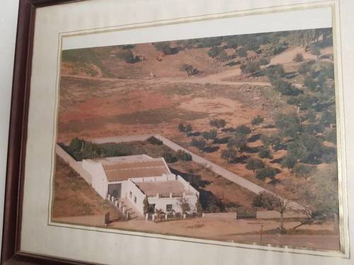 imagen 1 de Venta de terreno con casa y nave en Carmona