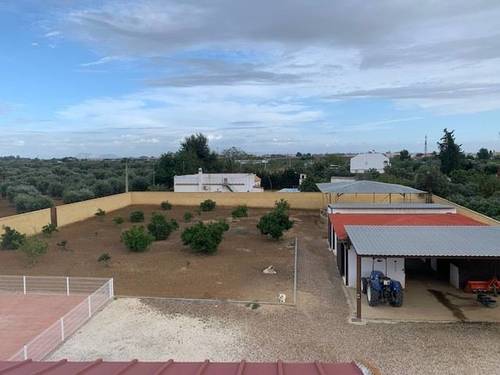 imagen 2 de Venta de terreno con chalet e instalaciones hípicas en Utrera (Sevilla)
