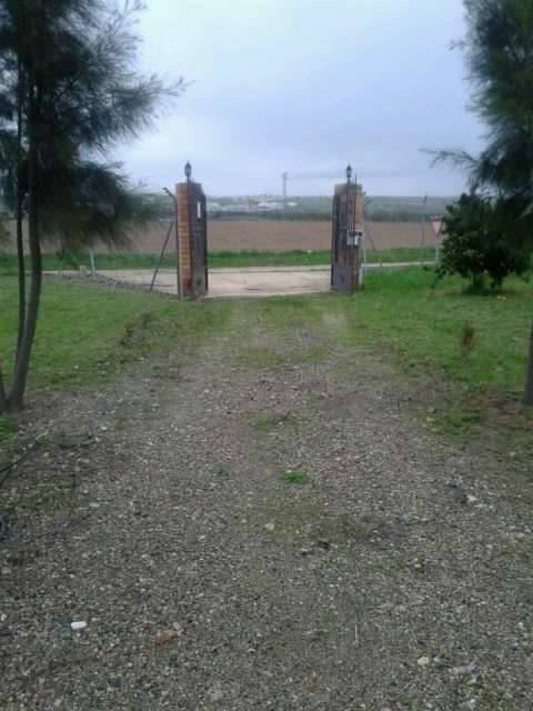 imagen 1 de Venta de parcela con casa en Sevilla