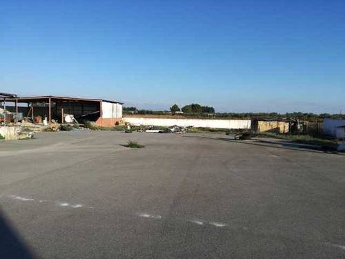 imagen 4 de Venta de finca con casa y naves en Utrera (Sevilla)