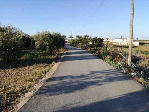 imagen 7 de Venta de finca con casa y naves en Utrera (Sevilla)