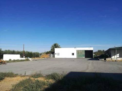 imagen 6 de Venta de finca con casa y naves en Utrera (Sevilla)