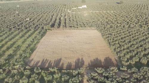 imagen 1 de Venta de finca rústica con buena ubicación en Benacazón