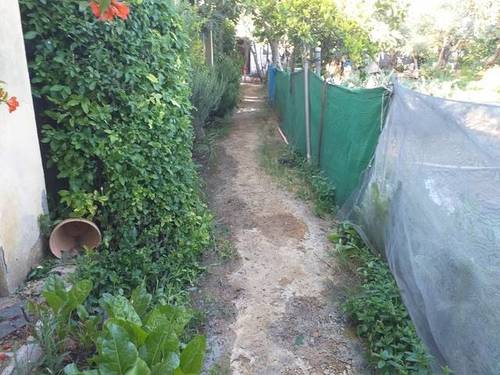 imagen 1 de Venta de parcela con casa en Los Palacios y Villafranca
