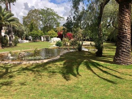 imagen 1 de Venta de finca para eventos en Castilleja de la Cuesta