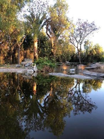 imagen 4 de Venta de finca para eventos en Castilleja de la Cuesta