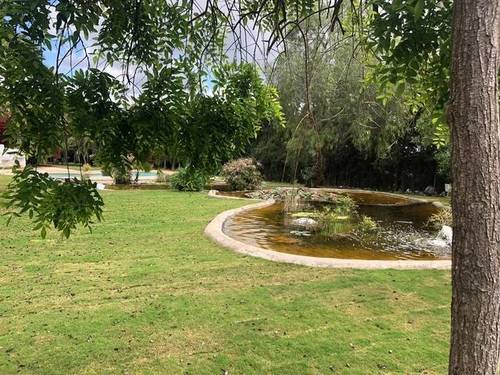 imagen 1 de Venta de finca para eventos en Castilleja de la Cuesta