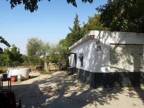 imagen 1 de Venta de finca rústica con nave en Santiponce