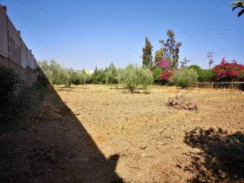 imagen 4 de Venta de finca rústica con nave en Santiponce