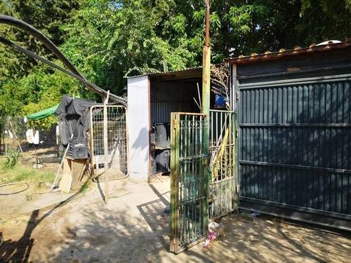 imagen 2 de Venta de finca rústica con nave en Santiponce