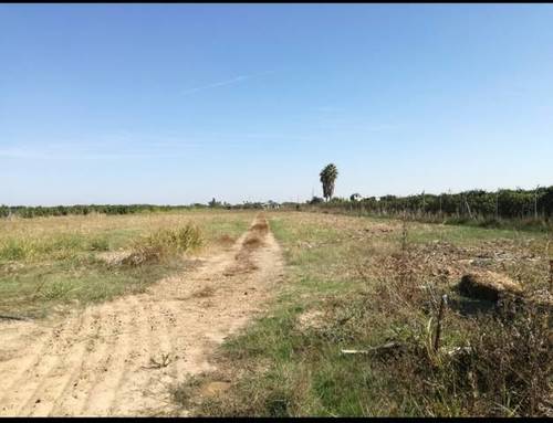 imagen 1 de Venta de terreno rústico fértil en La Algaba (Sevilla)