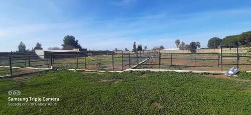 imagen 2 de Alquiler de instalaciones hípicas en Sevilla