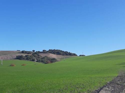 imagen 1 de Venta de finca de secano en Utrera (Sevilla)