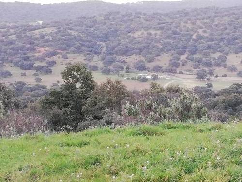 imagen 1 de Venta de dehesa con caserío en Alanis (Sevilla)