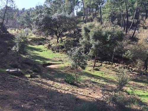imagen 1 de Venta de finca en entorno natural ubicada en Monesterio