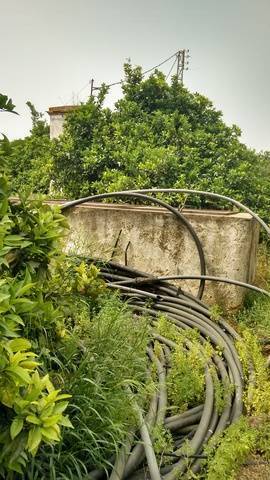 imagen 3 de Venta de finca de naranjos con riego en Dos Hermanas (Sevilla)
