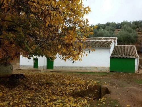 imagen 2 de Venta de finca con casa en Parque Natural (Sevilla)