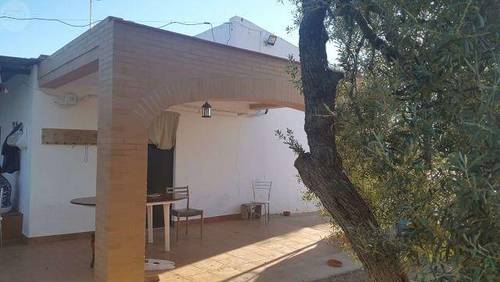 imagen 1 de Venta de finca de olivos con casa en Carmona